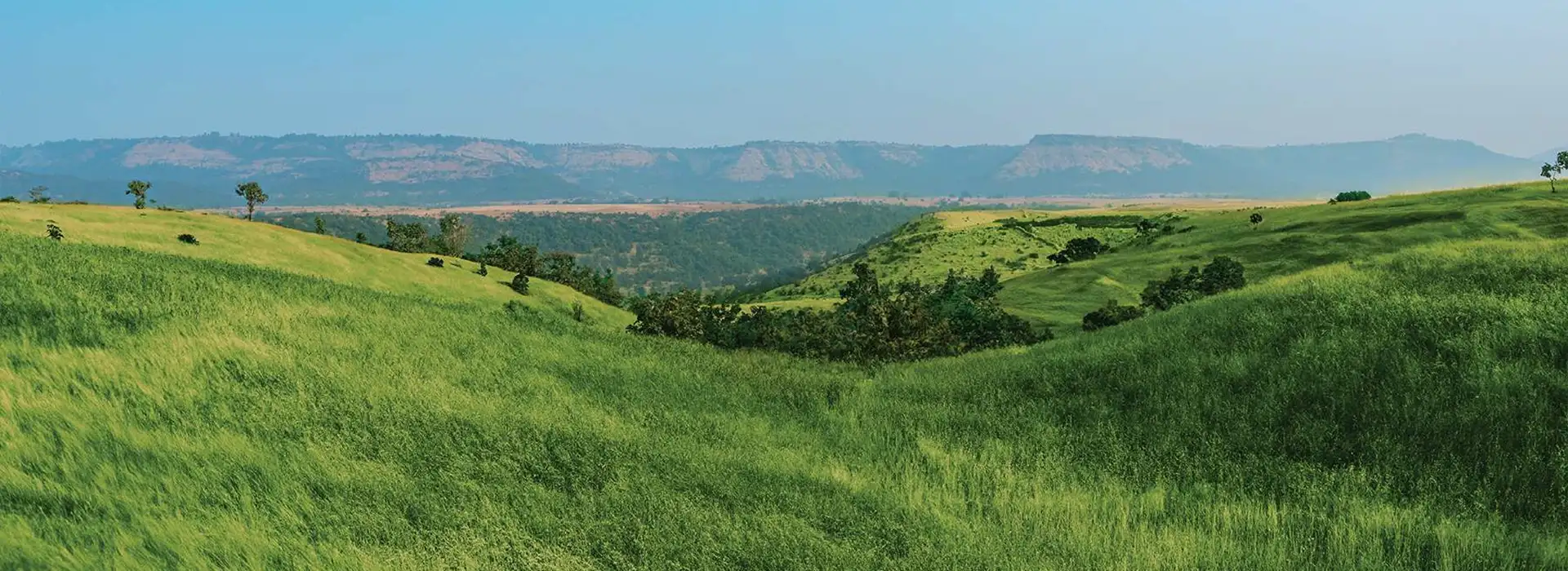 Belle Vue Kasara Banner 2 Belle Vue Kasara Banner 2