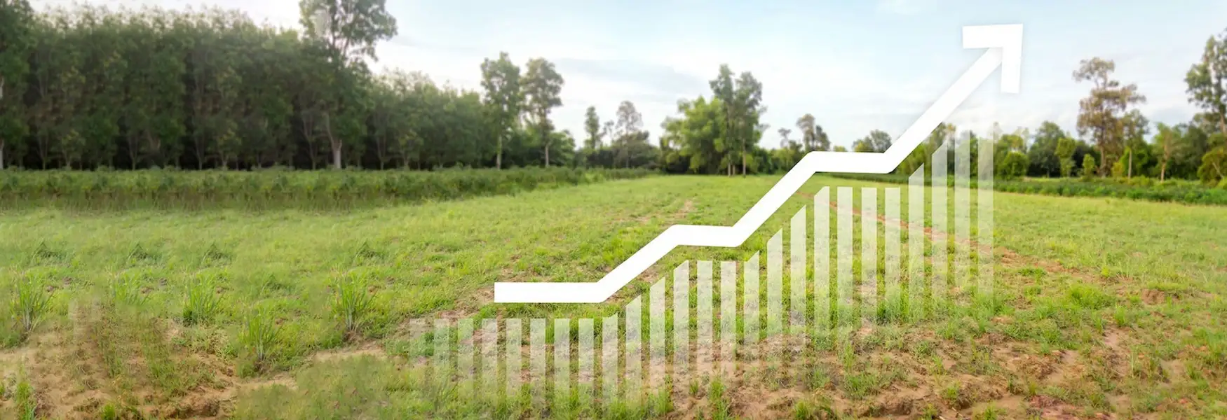 Rustomjee Plots Alibaug Commercial Plots For Sale