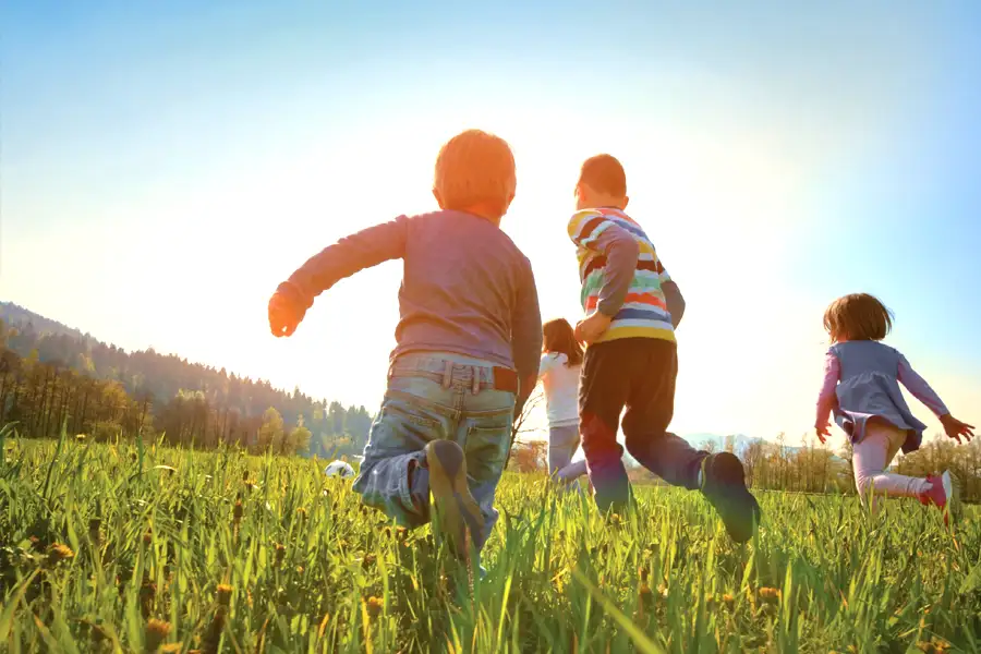 Rustomjee Villas Kasara Investment Land Rustomjee Villas Kasara Investment Land