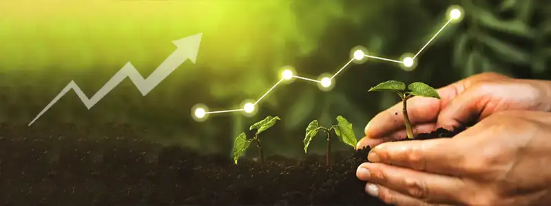 Rustomjee Builders Blog Insider Mobile Risk On Investment